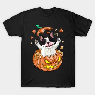 Boston Terrier In The Pumpkin tshirt halloween costume funny gift t-shirt T-Shirt